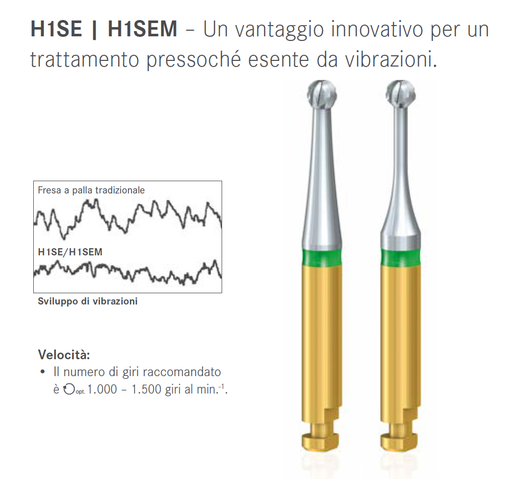 H1SEM-H1SE