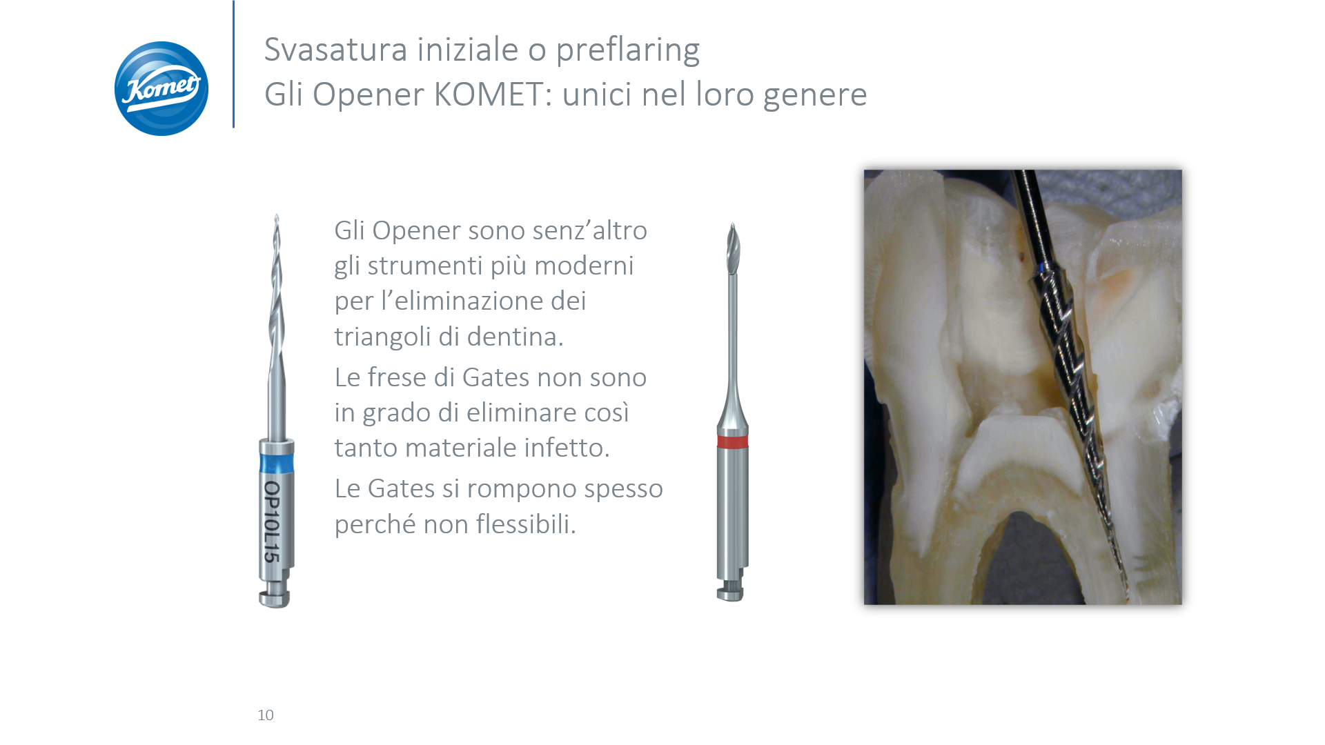 Procodile (1)
