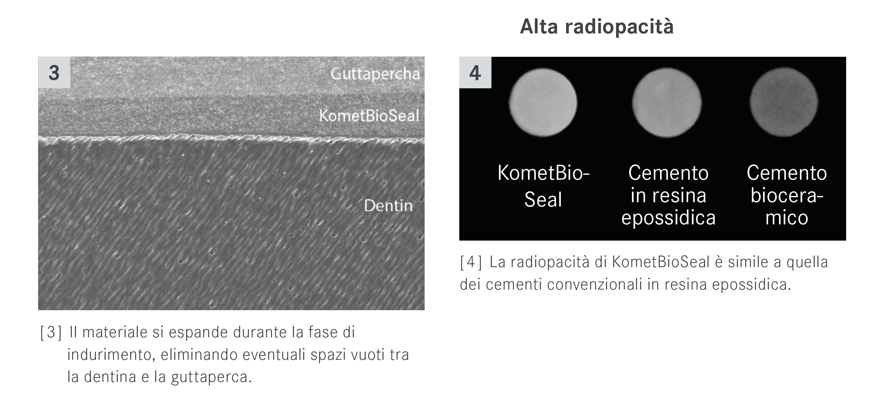 BioSeal Radiopacità
