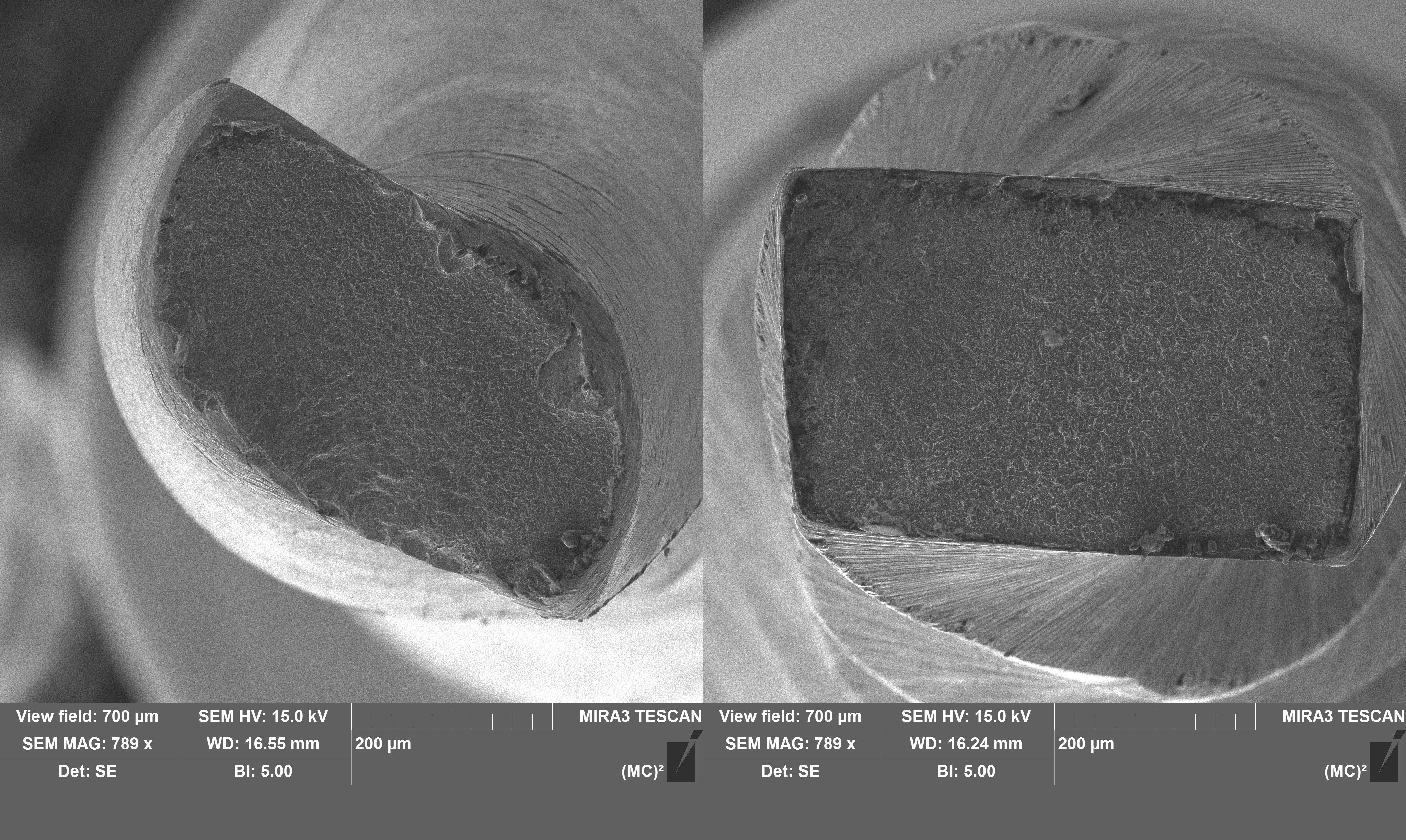 ProcodileQ file endo per la sagomatura canalare che salvaguarda la struttura dentale e rispetta la morfologia naturale del canale radicolare.