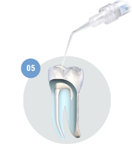 Bioceramici