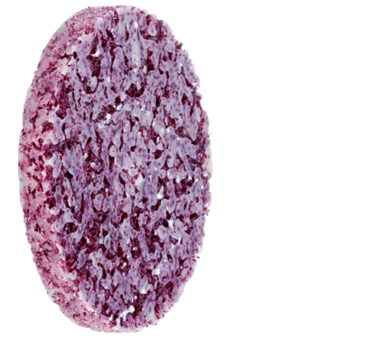 Disco abrasivo impregnato di silicone