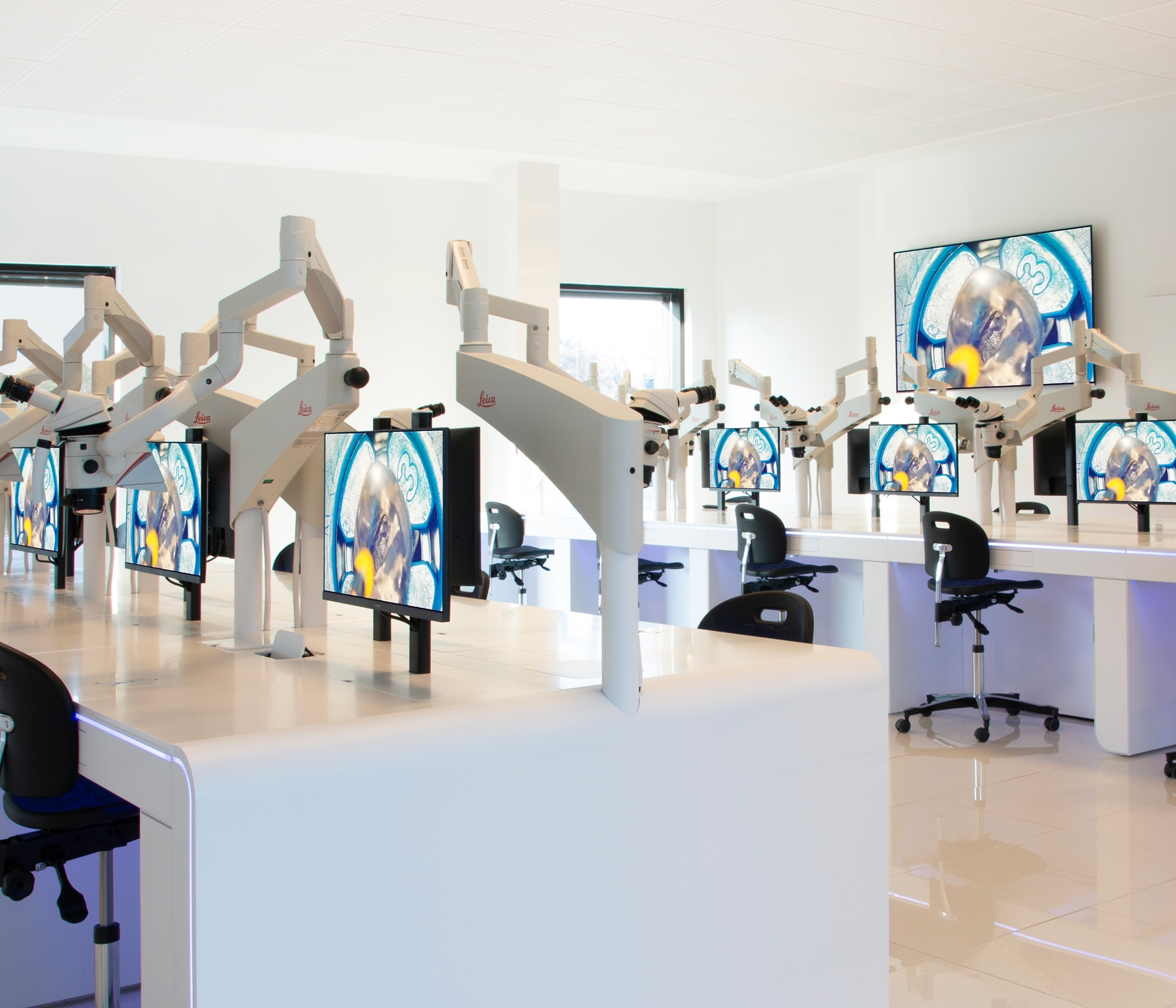 Uno spazio formativo innovativo nel cuore di Verona