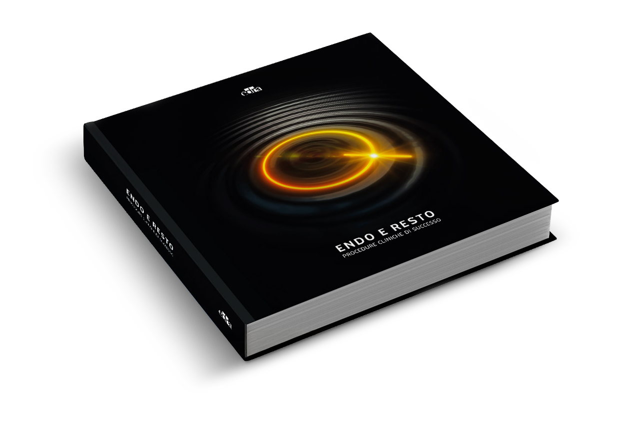 Endo e Resto