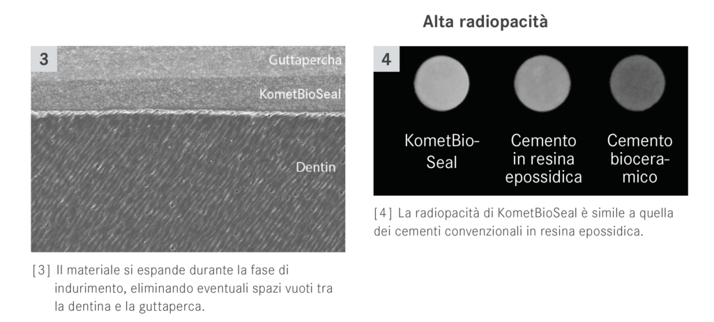 BioSeal Radiopacità